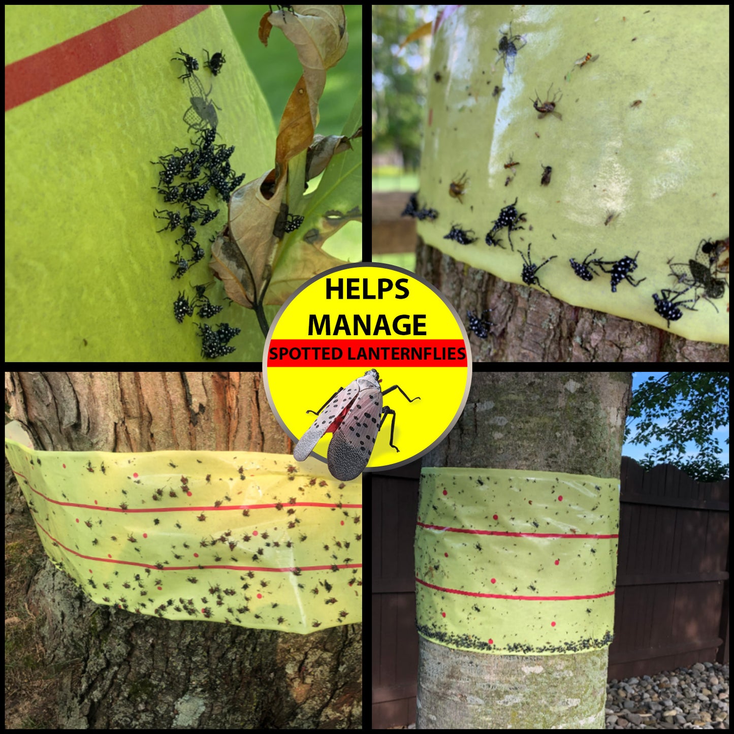 W4W, Giant Sticky Fly Trap Roll - MAX Strength - Outdoor/Indoor - Non Toxic - for Flies and Other Bugs