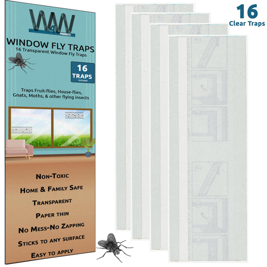 Window Fly Traps