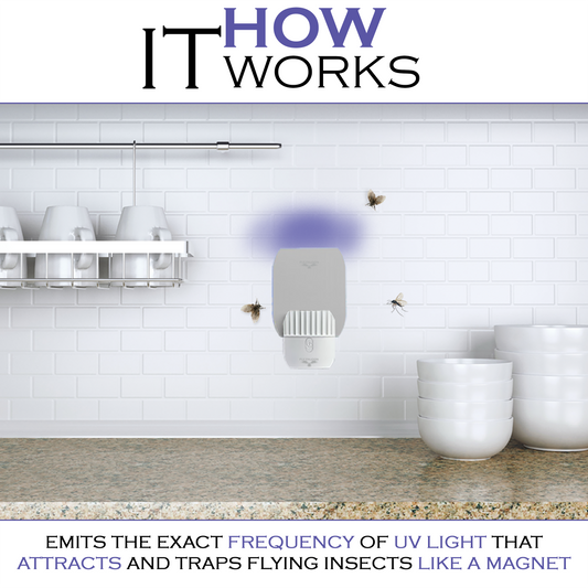 Fly Falcon LED Fly Trap - mini