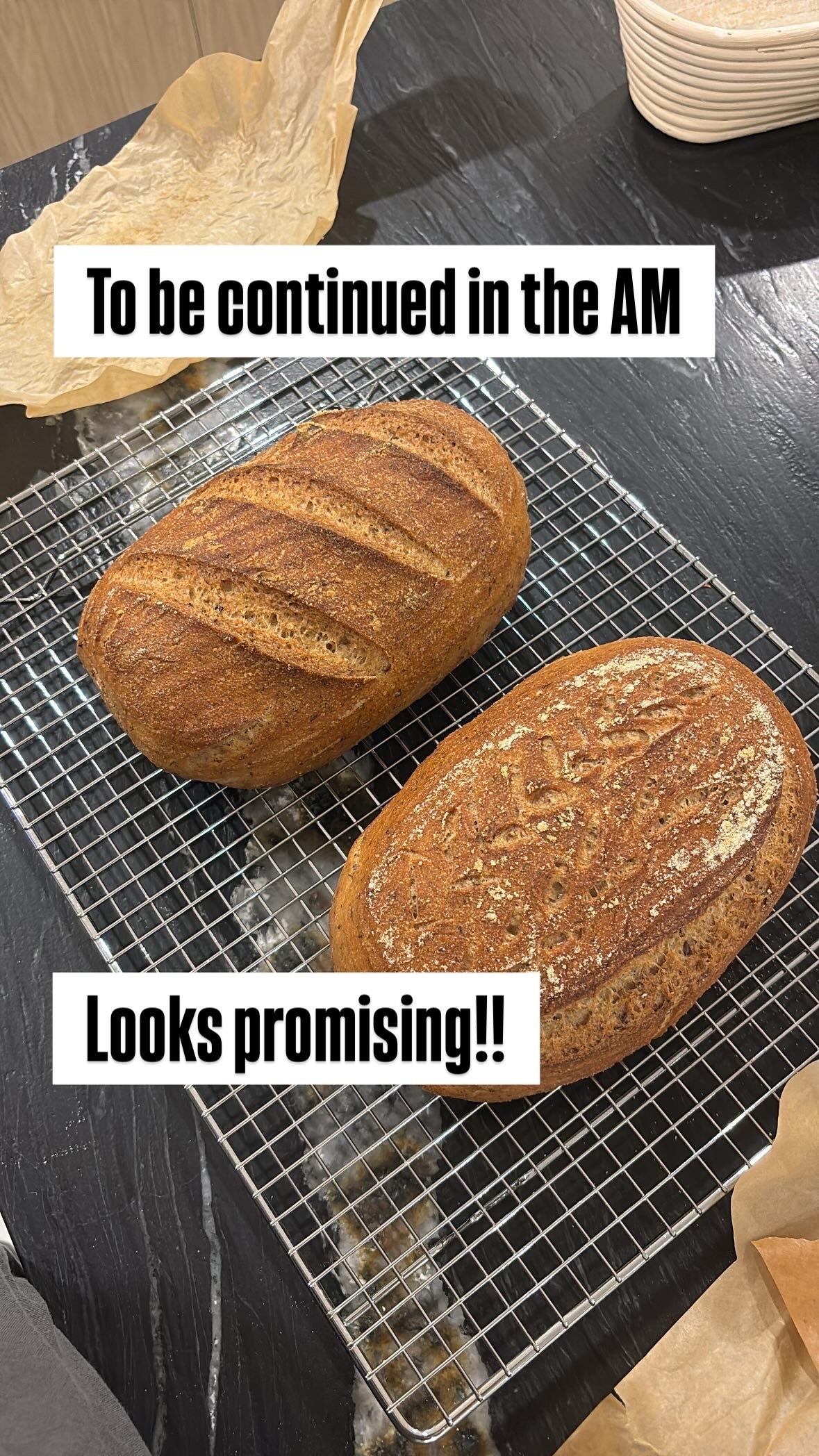 Macalicious DIY Kits