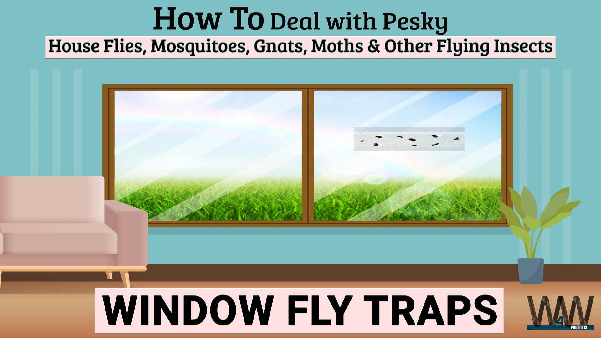 Load video: window fly trap