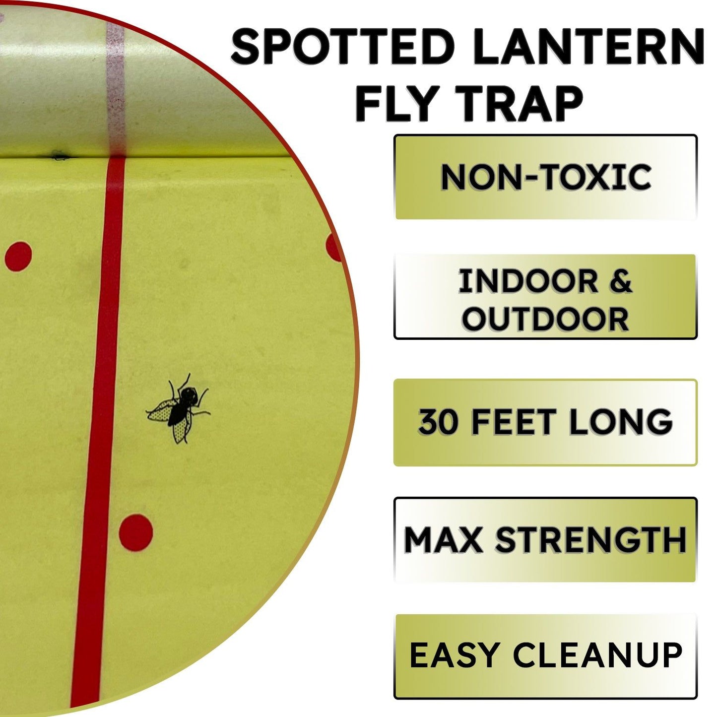 Spotted Lantern Fly Tree Trap - 4 Rolls (30 Feet Each Roll) - Lanternfly Tree Tape Creates a Sticky Barrier Protecting Trees from Harmful Insects - Non-Toxic - W4W Products 