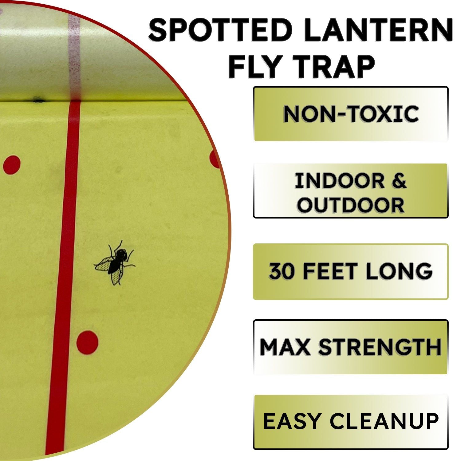 Spotted Lantern Fly Tree Trap - 4 Rolls (30 Feet Each Roll) - Lanternfly Tree Tape Creates a Sticky Barrier Protecting Trees from Harmful Insects - Non-Toxic - W4W Products 